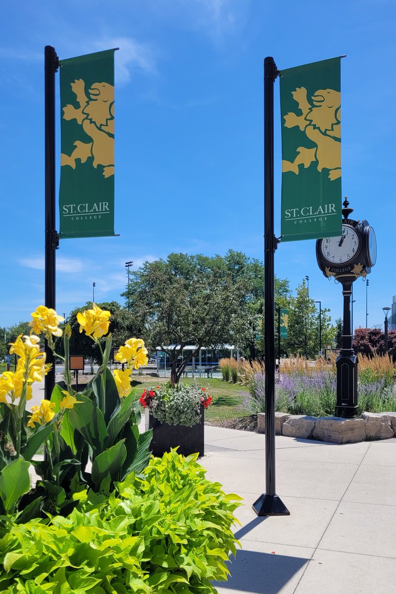 StClairCollege's tweet image. Take a look at the stunning architecture and serene spaces of St. Clair College’s Main Windsor Campus! 🏫
✨ Stay tuned—we’ll be showcasing our Downtown and Chatham Campuses next!

#StClairCollege #WindsorCampus #CampusArchitecture #OntarioColleges #ExploreWindsor #CampusVibes