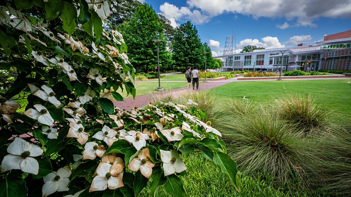NCStateAlumni's tweet image. Join a student-led campus tour and explore the lively spaces, quiet places, hallowed halls and hidden gems that make our university feel like home.
Take a walk with us: ncst.at/aiqF50WvlNS🚶