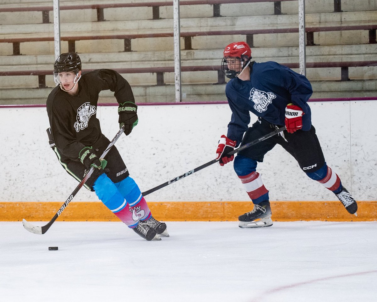 Day 1 of Main Camp is in the books ✅ #MallardsHockey #MainCamp #FearTheFlock #NAHL