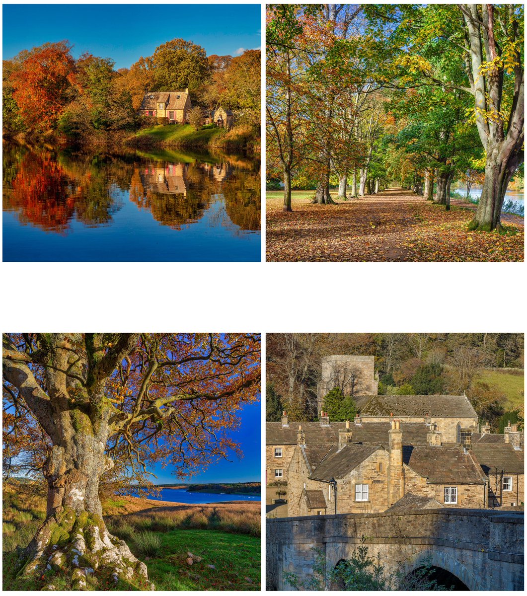 Graeme Peacock tweet media