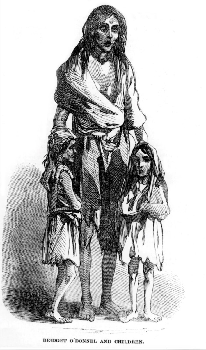 Breegemw's tweet image. Spot the difference 

#GazaGenocide‌ #Irishfamine