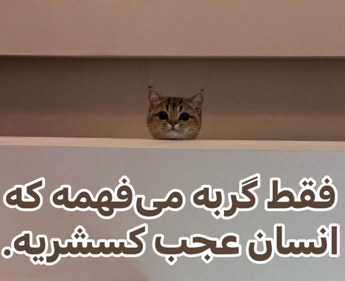 379Talks's tweet image. 
