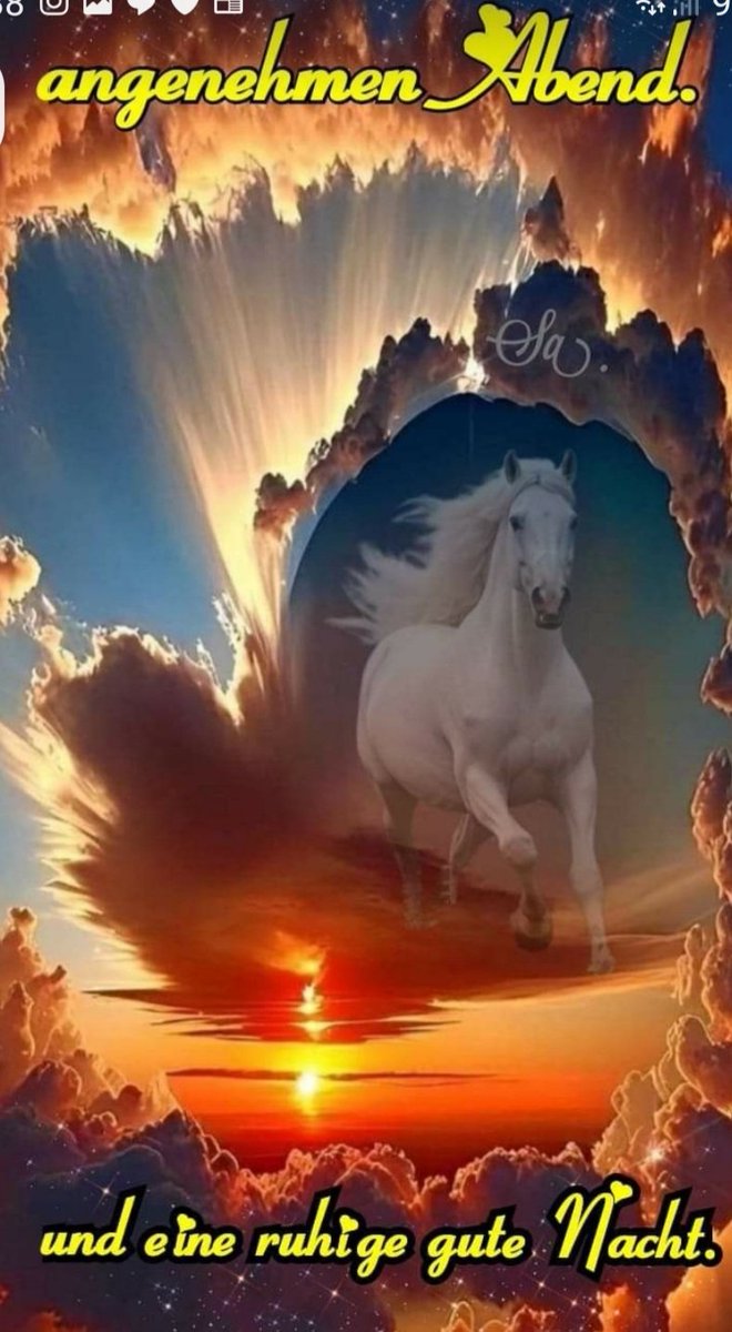 KirchnerMonlka3's tweet image. Guten Abend meine lieben Freunde. Ich wünsche euch allen, einen wunderschönen gemütlichen und kuscheligen Samstag Abend.
Das Wetter war heute super schön.
Viele liebe Grüße, eure liebe Moni.
Später eine traumhafte Nacht.
☀️❤🤗💖🍀😍🌿🐞🌺🦋🌿🥰🕊