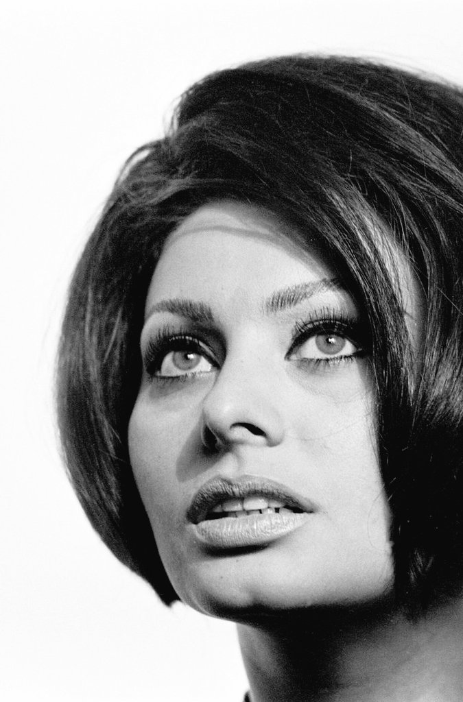 Jacted7's tweet image. Sophia Loren
1964