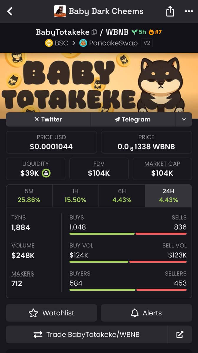 İlk bsc denemesi:

dexscreener.com/bsc/0xEc18d6E8…

Totakeke uzamaya devam ederse peşine takılabilir old hikaye.

Sıfıra da gidebilir takip etmek isterseniz