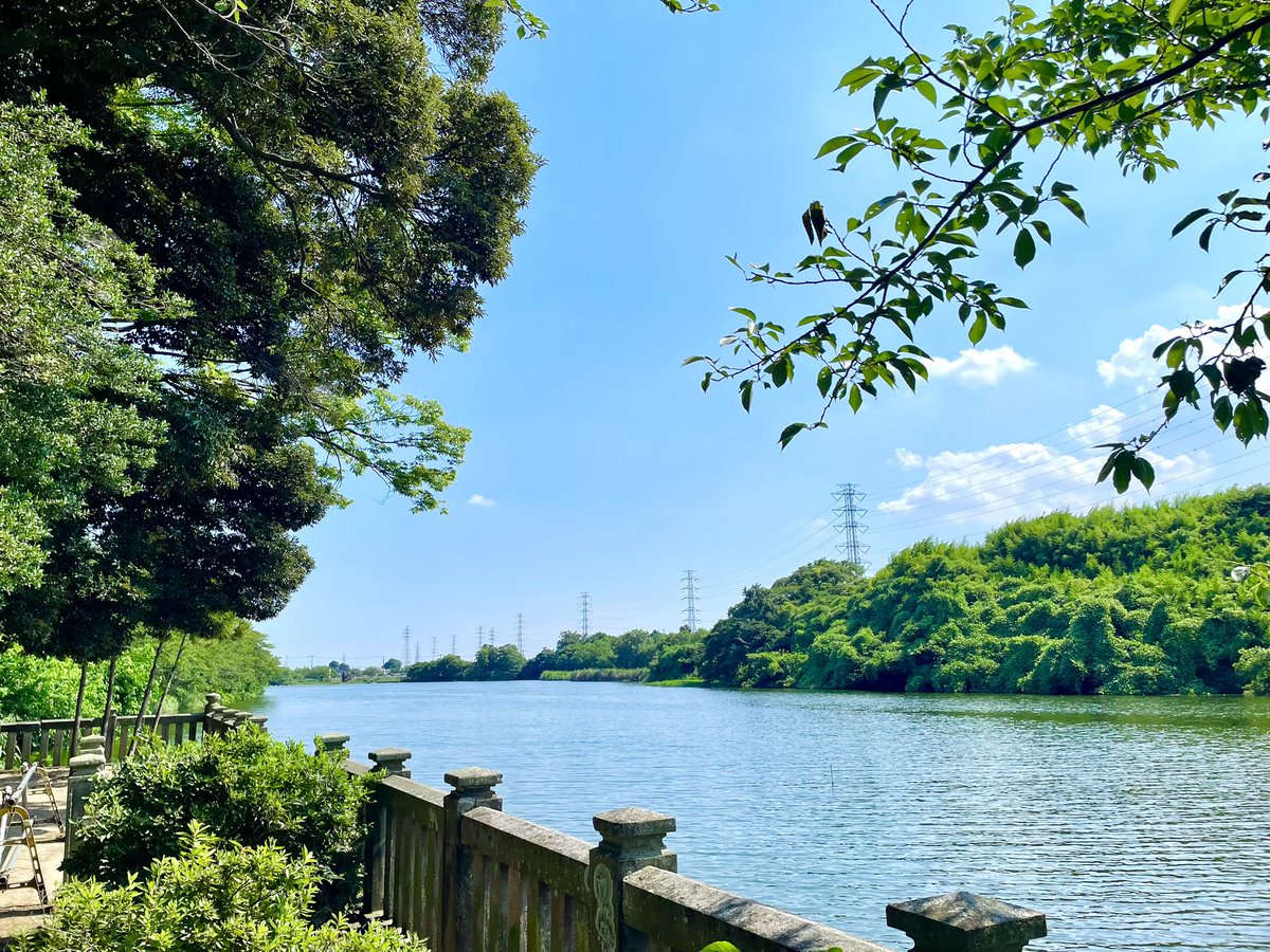 Bianchi2023's tweet image. 7/23 Wed.文月🌻#月詣 #今日の御朱印探訪 武蔵國埼玉郡岩槻藩領大戸村鎮守［さいたま市岩槻区大戸］武蔵第六天神社［村社］👺

古よりの暴れ川と言われた元荒川を鎮めんと河岸に鎮座する大戸の第六天さま

旱天が続いて本殿に合祀される雨乞の雷神様にも“暑すぎる列島を冷まして下さい”と心より祈願🙏