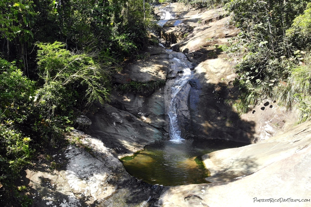 PRDayTrips's tweet image. Buenas Tardes #PuertoRico - Cooling Falls In El Yunque (from 2020) #estaesmiisla