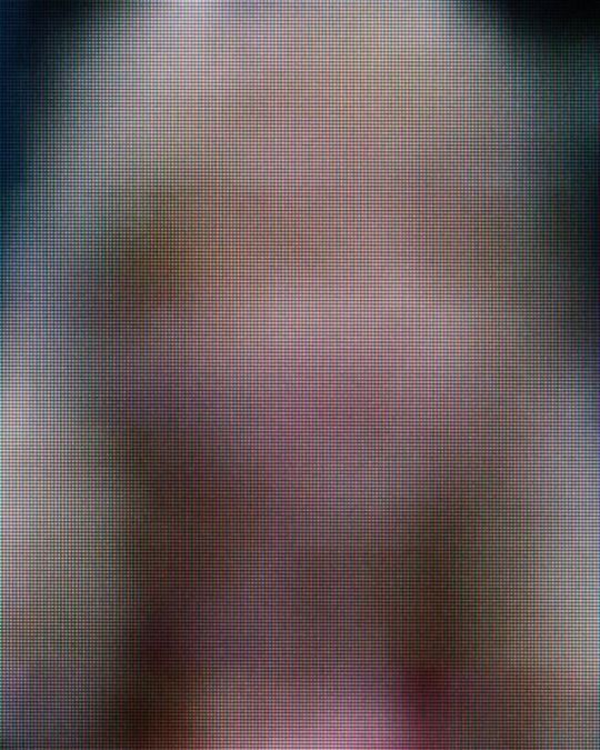 headhort's tweet image. 