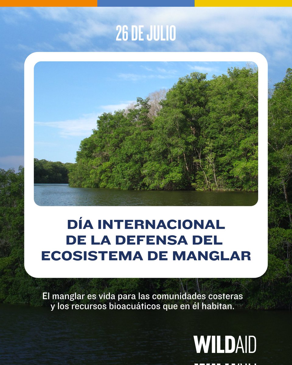 26 de julio | Día Internacional de la Defensa del Ecosistema de Manglar

Los manglares son vida, protección y sustento para las comunidades costeras.
Las áreas protegidas garantizan su conservación y promueven su uso responsable.

#DíaDelManglar
#ElManglarEsVida
#BuenaPesca