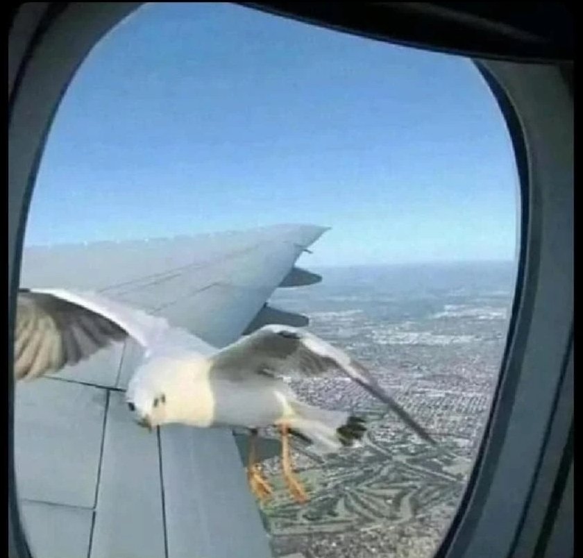 When you leave the country without telling your relatives

Your ancestors: