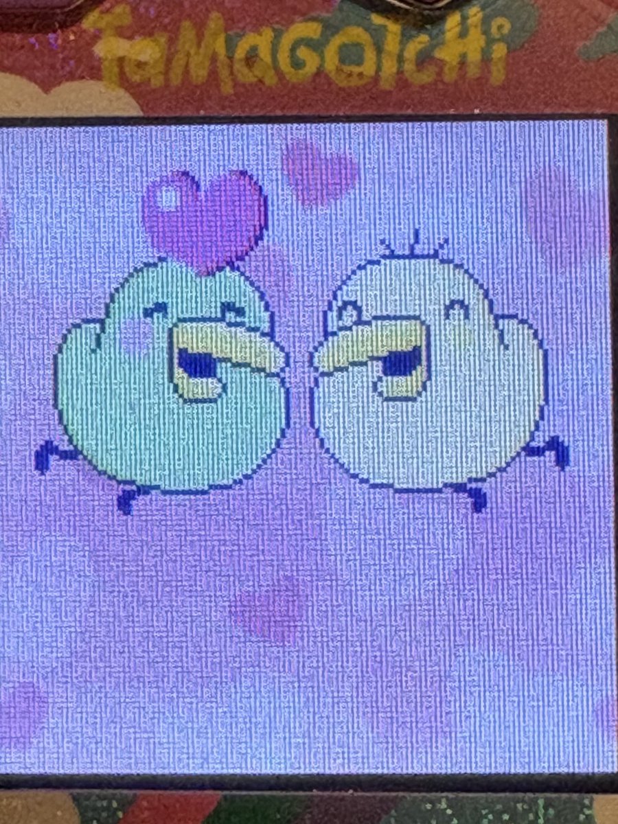 RinPatch's tweet image. きうぃ🟡×きうぃ🟢

=🟢

#たまごっちパラダイス