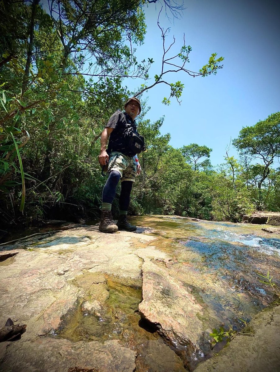 uncle_fury's tweet image. Welcome back to the jungle 🤙🤙🤙🤙
#hiking #KowloonReservoirs