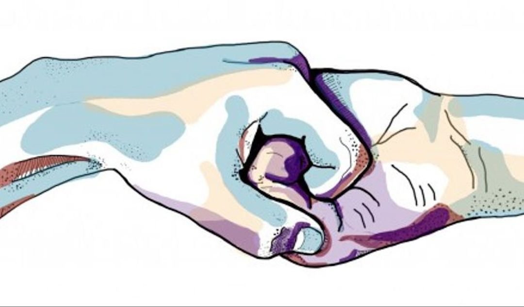 GustavoAdolf_'s tweet image. "El verdadero amor no es otra cosa que el deseo inevitable de ayudar al otro para que sea quien es.
Y cuando ese amor se convierte en refugio, en abrigo frente a las tormentas de la vida, cobra un valor incalculable. No hay mayor gesto de amor que estar ahí, cuidando,…