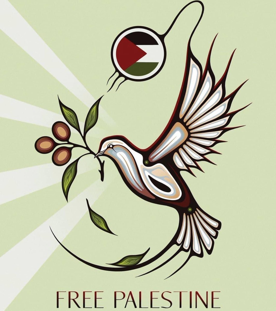 Why are we not sending a UN peacekeeping force into Gaza to save the starving Palestinians #FreePalestine