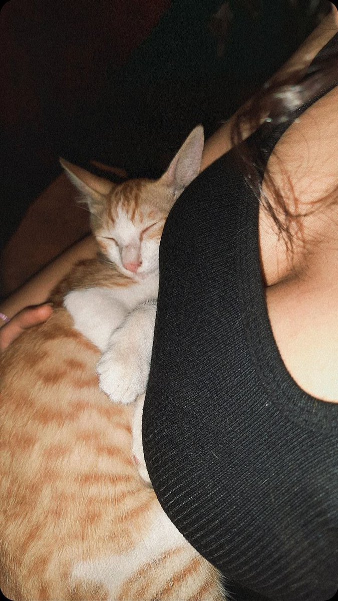 Bom dia meus amores 
Como se estão 
Digam pra mim o que vão aprontar 
Nesse final de semana 
Bjs Eva