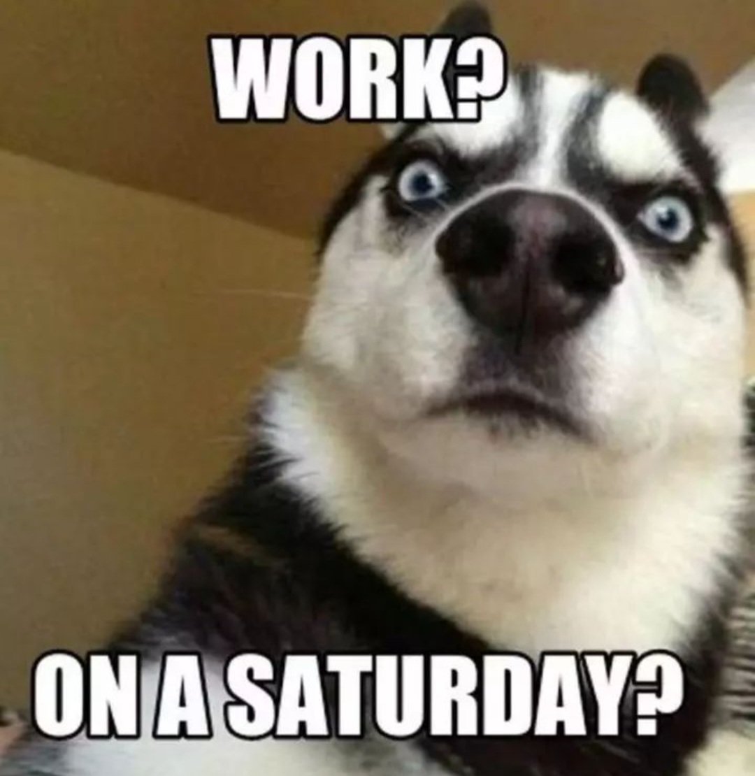 Happy Saturday, friends! 

I hope you all have some fun plans for your day while I'm at work.