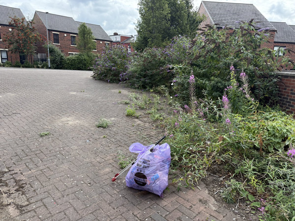 asgharlab's tweet image. Big thanks to our amazing volunteers from Cross Green Litter picking team which takes place last Saturday of the month.They did an awesome job, litter picking is brilliant for daily steps & fresh air, all while making a real difference in our community. #Burmantofts #RichmondHill