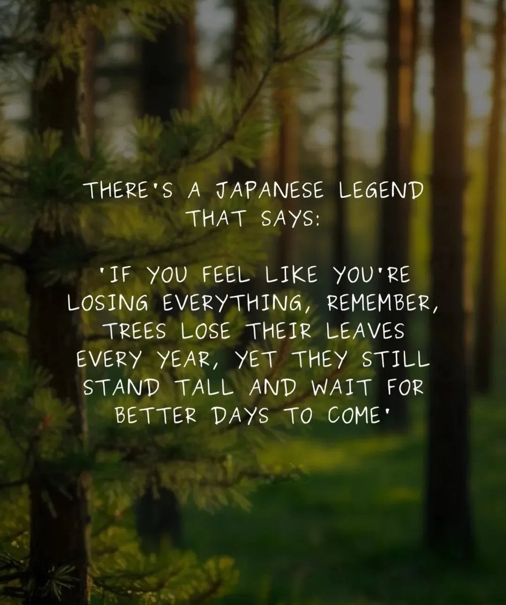 Seek Wiser (@seekwiser_) on Twitter photo 
