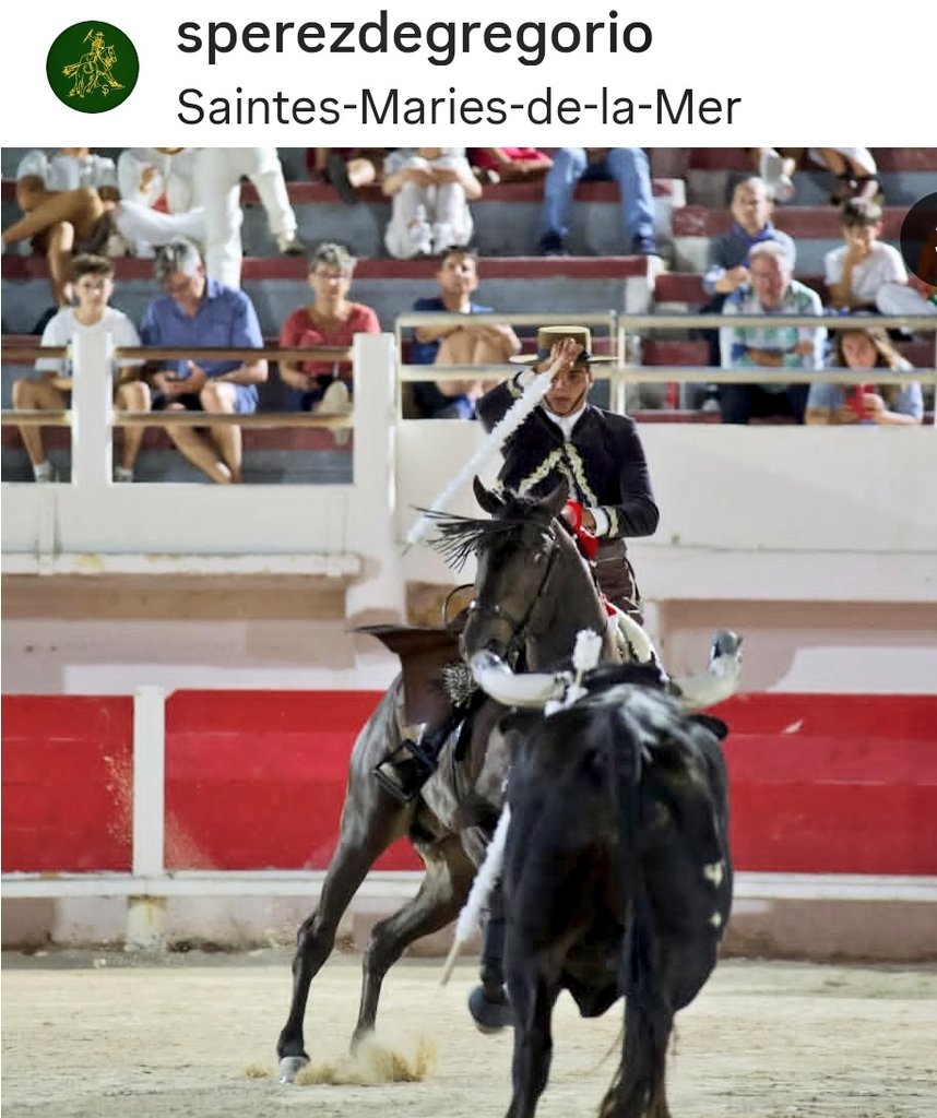 Sergio Pérez de Gregorio pide paso en las Ferias de Francia.

Seria e importante actuación del joven rejoneador salmantino en Saintes Maries de la Mer, tras el éxito y las puertas grandes de Soria y Zamora. 

Apoderado por Alberto García y Rafael Peralta.