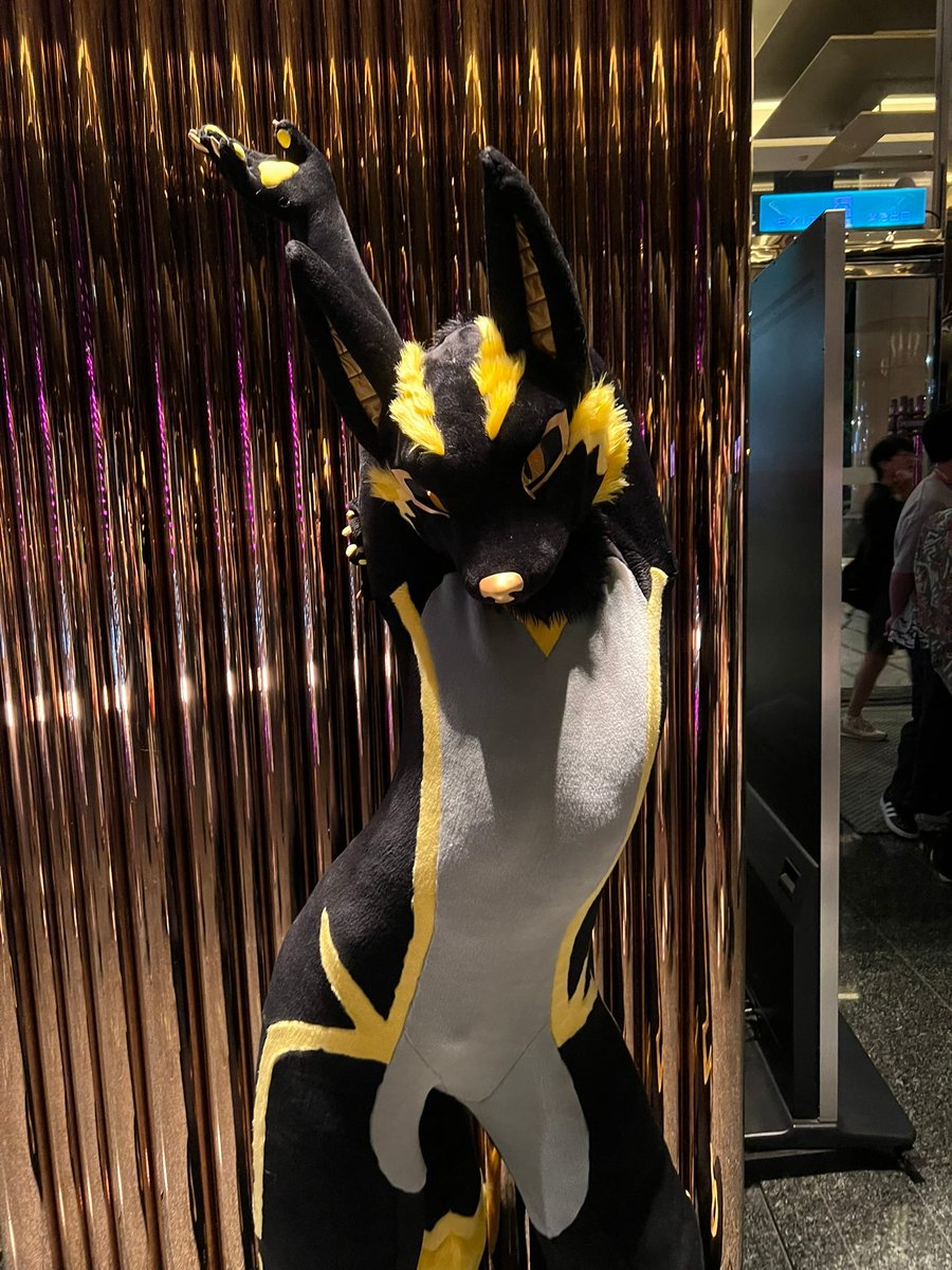 AnubisFurdance's tweet image. 我可以加入美腰敎了嗎？🥺
Can I join the Slim Waist Cult too?

📷： 林蒼痕 
🧵： @KMN_NANO
#fursuiteveryday #2025UTFG #阿努剃毛了