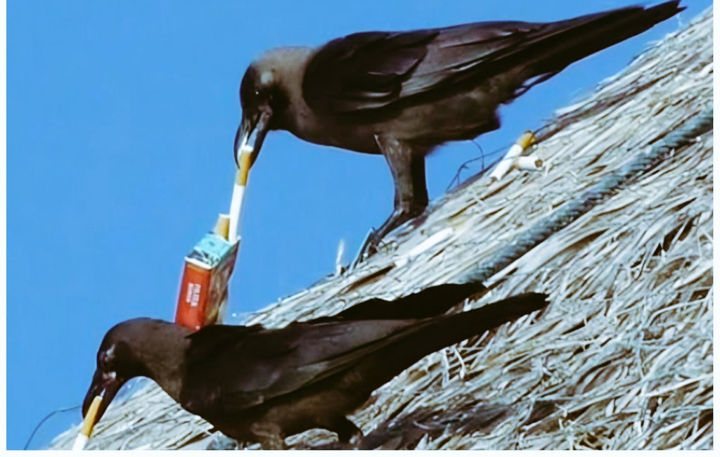 बहुत पी लिया मटके का पानी अब कुछ अलग try करने की बारी है। 😅😅😅