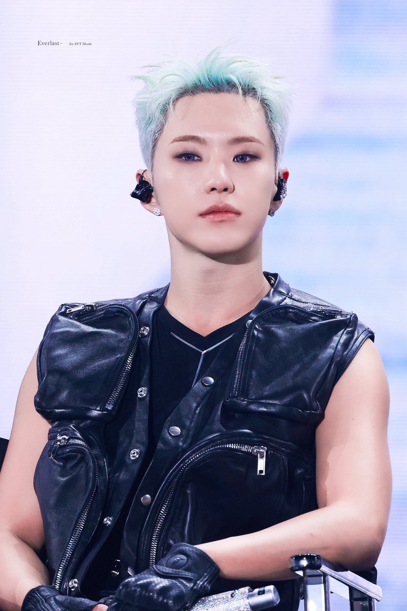 250726 HOSHI X WOOZI FAN CONCERT [WARNING] - TAIPEI D1 🖤 #세븐틴