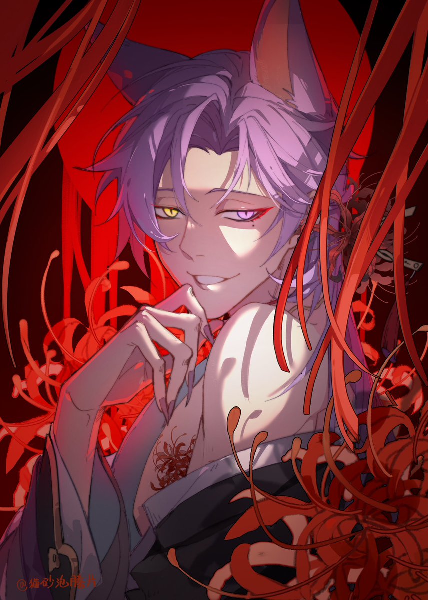 猫砂泡腾片 tweet media