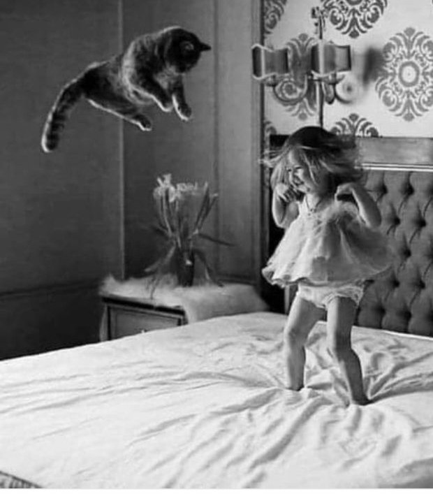 francesco acampora (@frankcapitone) on Twitter photo <a href="/BrindusaB1/">BrindusaB</a> <a href="/gigliointi/">Gigliola</a> <a href="/GuernseyJuliet/">Alessandra Bertuzzo #facciamorete</a> <a href="/LunaLeso/">Luna</a> <a href="/AlessandraCicc6/">Alessandra Ciccolini</a> <a href="/gherbitz/">Claudia 🐾🐧🐱</a> <a href="/j_ferris221629/">Jane Ferris</a> <a href="/DEOLINDAMA93701/">Maria Alves</a> <a href="/JohnLee90252472/">John Lee</a> <a href="/ValerioLivia/">Livia Valerio</a> <a href="/Rebeka80721106/">Rebeka</a> <a href="/annamarylight/">Annamaria</a> <a href="/GiuseppeTurrisi/">AnimaLunga™</a> <a href="/redne2013/">Ella 🇮🇹</a> <a href="/archivetro/">Archivetro </a> <a href="/AndreWisniewsk2/">Andre Wisniewski</a> <a href="/AnnaCountessK/">Countess Anna</a> <a href="/catisthecatch/">🐈⬛🐈🐈⬛🐈🐈⬛🐈</a> <a href="/CaterinaCategio/">Caterina Giovanardi</a> <a href="/lagatta4739/">lagatta4739</a> <a href="/forbyrita/">rita forotti</a> <a href="/RefikBiloglu/">Refik Biloğlu</a> <a href="/NadiaZanelli1/">Nadia Zanelli</a> #Caturday
Buona giornata 🦋🍀
Brin 🙏😻🌹
#fotosospesa
#VentagliDiParole #catlover <a href="/BrindusaB1/">BrindusaB</a> <a href="/gigliointi/">Gigliola</a> <a href="/GuernseyJuliet/">Alessandra Bertuzzo #facciamorete</a> <a href="/LunaLeso/">Luna</a> <a href="/AlessandraCicc6/">Alessandra Ciccolini</a> <a href="/gherbitz/">Claudia 🐾🐧🐱</a> <a href="/j_ferris221629/">Jane Ferris</a> <a href="/DEOLINDAMA93701/">Maria Alves</a> <a href="/JohnLee90252472/">John Lee</a> <a href="/ValerioLivia/">Livia Valerio</a> <a href="/Rebeka80721106/">Rebeka</a> <a href="/annamarylight/">Annamaria</a> <a href="/GiuseppeTurrisi/">AnimaLunga™</a> <a href="/redne2013/">Ella 🇮🇹</a> <a href="/archivetro/">Archivetro </a> <a href="/AndreWisniewsk2/">Andre Wisniewski</a> <a href="/AnnaCountessK/">Countess Anna</a> <a href="/catisthecatch/">🐈⬛🐈🐈⬛🐈🐈⬛🐈</a> <a href="/CaterinaCategio/">Caterina Giovanardi</a> <a href="/lagatta4739/">lagatta4739</a> <a href="/forbyrita/">rita forotti</a> <a href="/RefikBiloglu/">Refik Biloğlu</a> <a href="/NadiaZanelli1/">Nadia Zanelli</a> #Caturday
Buona giornata 🦋🍀
Brin 🙏😻🌹
#fotosospesa
#VentagliDiParole #catlover
