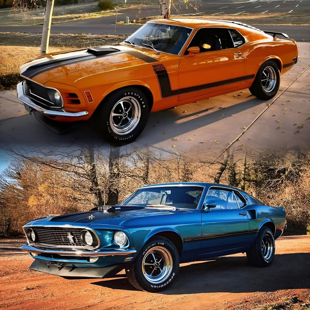 Top or Bottom 🤔
