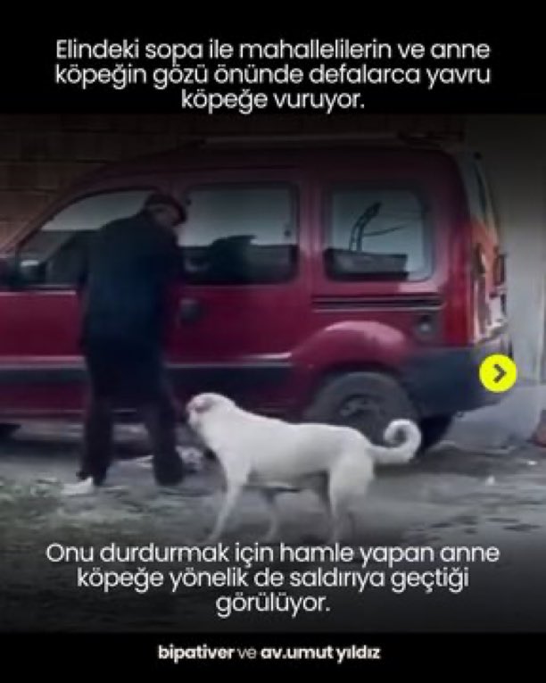Yavru köpeği, anne köpeğin yanında döven bu adamla aynı dünyada yaşıyoruz. 
Yarın sokağa çıktığımızda, bu adam karşımıza çıkacak ve normal bir insan sanacağız.