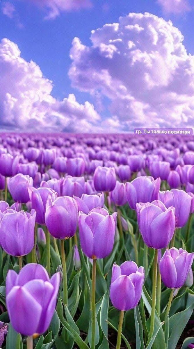 ð¬ ð ðŠ ð¿ ðŠ ð± ðŠ ð (@ghz35) on Twitter photo #Ù
ÙÚ©_ٟرÙ
ÙØŽÙ
ProMoâ»ïž
<a href="/0Mahiii/">khan Ki Khilariii ð</a>
<a href="/01Mllik/">ððŒððð ð
ðð«ð</a>
<a href="/1arshd/">ðð¿ððµð± ð ð¹ð¶ðžð«ð</a>
<a href="/0Sehrr/">Ø³ØØ± Ù
ÙÚ© ðïžðŠ</a>
<a href="/01rshd/">ار؎ÙÙÙØ¯ Ù
ÙÙÙÙÙÚ©â€ïž</a>
<a href="/1Arshii/">ðð»ðŒð±ð² ððµð²ðŽ ð§</a>
<a href="/sehr_ik/">Ø³ØØ± Ù
ÙÚ© ðŠðŠ</a>
<a href="/111mn1/">ð¬Ø¢Ù
ÙÛ Ù
ÙÚ©ðŠ</a>
<a href="/glmsjd/">ðºððððð
âš</a>
<a href="/ZK__35/">Zumar khan</a>
<a href="/shz787/">ðâïžððsÊáŽÊᎢáŽáŽ
áŽáŽÉŽÉªÊðâïžðâïž</a>
<a href="/1shobii/">ðºððððð ð¶ððððððð</a>
<a href="/1Sehar_/">ðÒœÔÎ±Ê ð</a>
<a href="/0Hyyat/">ØÛات ÙØ§Ø·Ù
Û âš</a>
<a href="/shZ447/">ððððð«ðð ððŠððð£</a>
<a href="/pyaari_c/">ðáŽáŽ.â°ð</a>
<a href="/Punj143/">ððŸðœðœ ð ðµð°</a>
<a href="/Hurain_5/">Hurain ðØÙرÛÙ</a>
<a href="/ait9t/">ê§FarahðïžáŽŸáµáµáŽŸáµÊ·áµÊ³</a> <a href="/_1rhe/">؎ازÛÛ</a>
<a href="/2Snbr/">ð¢ðªðð²ðª ððªðµð²ðŽ</a> <a href="/TP7i1/">â
â¯ð©ðððàŒã</a>
<a href="/1fazl2/">ÙØ¶ÙðªðŽð«ðªð»ÙÙ</a> <a href="/1fzalI/">ðPTI ACCOUNTS PROMORTERð</a>
<a href="/guljnt/">Ú¯ÙÙ Ø¬ÙØªð·</a> <a href="/Znt31/">ðŠZeenatðŠ</a>
<a href="/_S_m_4/">Sharmeen Awan</a> <a href="/ze_kh1/">زÛÙÛÙÙÙÙÙÛ Ø®ÙØ§Ùâ€</a>
<a href="/11iasd/">Ali Asad</a> <a href="/Ghz35/">ð¬ ð ðŠ ð¿ ðŠ ð± ðŠ ð</a>
<a href="/Pir_80/">Peer Shb</a> <a href="/NK_pti/">ððð¶ð¹ ðµð°</a> #Ù
ÙÚ©_ٟرÙ
ÙØŽÙ
ProMoâ»ïž
<a href="/0Mahiii/">khan Ki Khilariii ð</a>
<a href="/01Mllik/">ððŒððð ð
ðð«ð</a>
<a href="/1arshd/">ðð¿ððµð± ð ð¹ð¶ðžð«ð</a>
<a href="/0Sehrr/">Ø³ØØ± Ù
ÙÚ© ðïžðŠ</a>
<a href="/01rshd/">ار؎ÙÙÙØ¯ Ù
ÙÙÙÙÙÚ©â€ïž</a>
<a href="/1Arshii/">ðð»ðŒð±ð² ððµð²ðŽ ð§</a>
<a href="/sehr_ik/">Ø³ØØ± Ù
ÙÚ© ðŠðŠ</a>
<a href="/111mn1/">ð¬Ø¢Ù
ÙÛ Ù
ÙÚ©ðŠ</a>
<a href="/glmsjd/">ðºððððð
âš</a>
<a href="/ZK__35/">Zumar khan</a>
<a href="/shz787/">ðâïžððsÊáŽÊᎢáŽáŽ
áŽáŽÉŽÉªÊðâïžðâïž</a>
<a href="/1shobii/">ðºððððð ð¶ððððððð</a>
<a href="/1Sehar_/">ðÒœÔÎ±Ê ð</a>
<a href="/0Hyyat/">ØÛات ÙØ§Ø·Ù
Û âš</a>
<a href="/shZ447/">ððððð«ðð ððŠððð£</a>
<a href="/pyaari_c/">ðáŽáŽ.â°ð</a>
<a href="/Punj143/">ððŸðœðœ ð ðµð°</a>
<a href="/Hurain_5/">Hurain ðØÙرÛÙ</a>
<a href="/ait9t/">ê§FarahðïžáŽŸáµáµáŽŸáµÊ·áµÊ³</a> <a href="/_1rhe/">؎ازÛÛ</a>
<a href="/2Snbr/">ð¢ðªðð²ðª ððªðµð²ðŽ</a> <a href="/TP7i1/">â
â¯ð©ðððàŒã</a>
<a href="/1fazl2/">ÙØ¶ÙðªðŽð«ðªð»ÙÙ</a> <a href="/1fzalI/">ðPTI ACCOUNTS PROMORTERð</a>
<a href="/guljnt/">Ú¯ÙÙ Ø¬ÙØªð·</a> <a href="/Znt31/">ðŠZeenatðŠ</a>
<a href="/_S_m_4/">Sharmeen Awan</a> <a href="/ze_kh1/">زÛÙÛÙÙÙÙÙÛ Ø®ÙØ§Ùâ€</a>
<a href="/11iasd/">Ali Asad</a> <a href="/Ghz35/">ð¬ ð ðŠ ð¿ ðŠ ð± ðŠ ð</a>
<a href="/Pir_80/">Peer Shb</a> <a href="/NK_pti/">ððð¶ð¹ ðµð°</a>