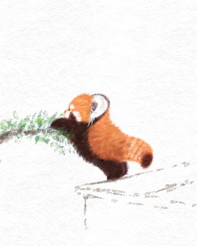 レッサーパンダは可愛い
#レッサーパンダの赤ちゃん 
#レッサーパンダ