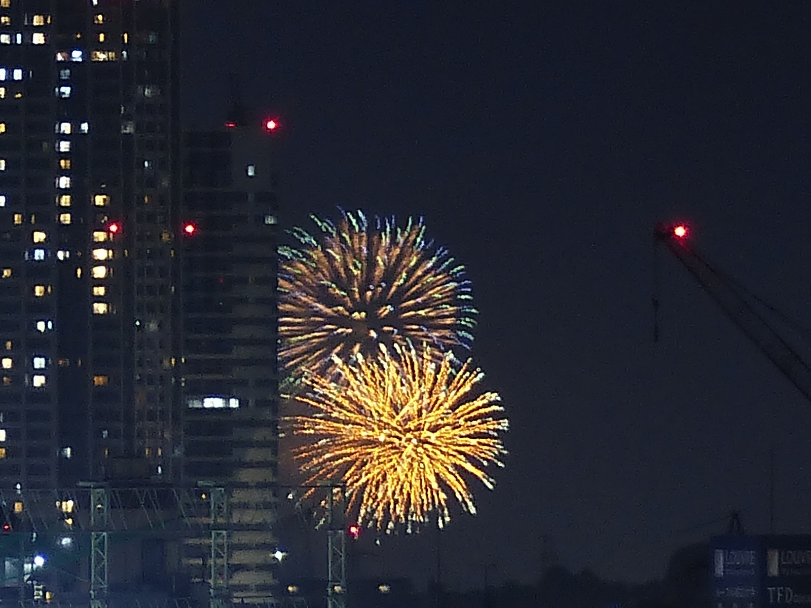 花火　寧々40点 シティ派たぬき on X: 