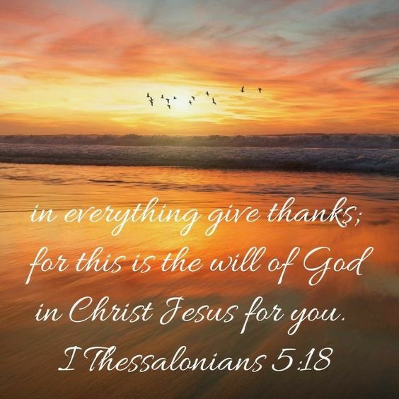 lubalush's tweet image. Rejoice always, pray without ceasing,
In everything give thanks; For this is the
Will of God in Christ Jesus for you.
1 Thessalonians 5:16-18