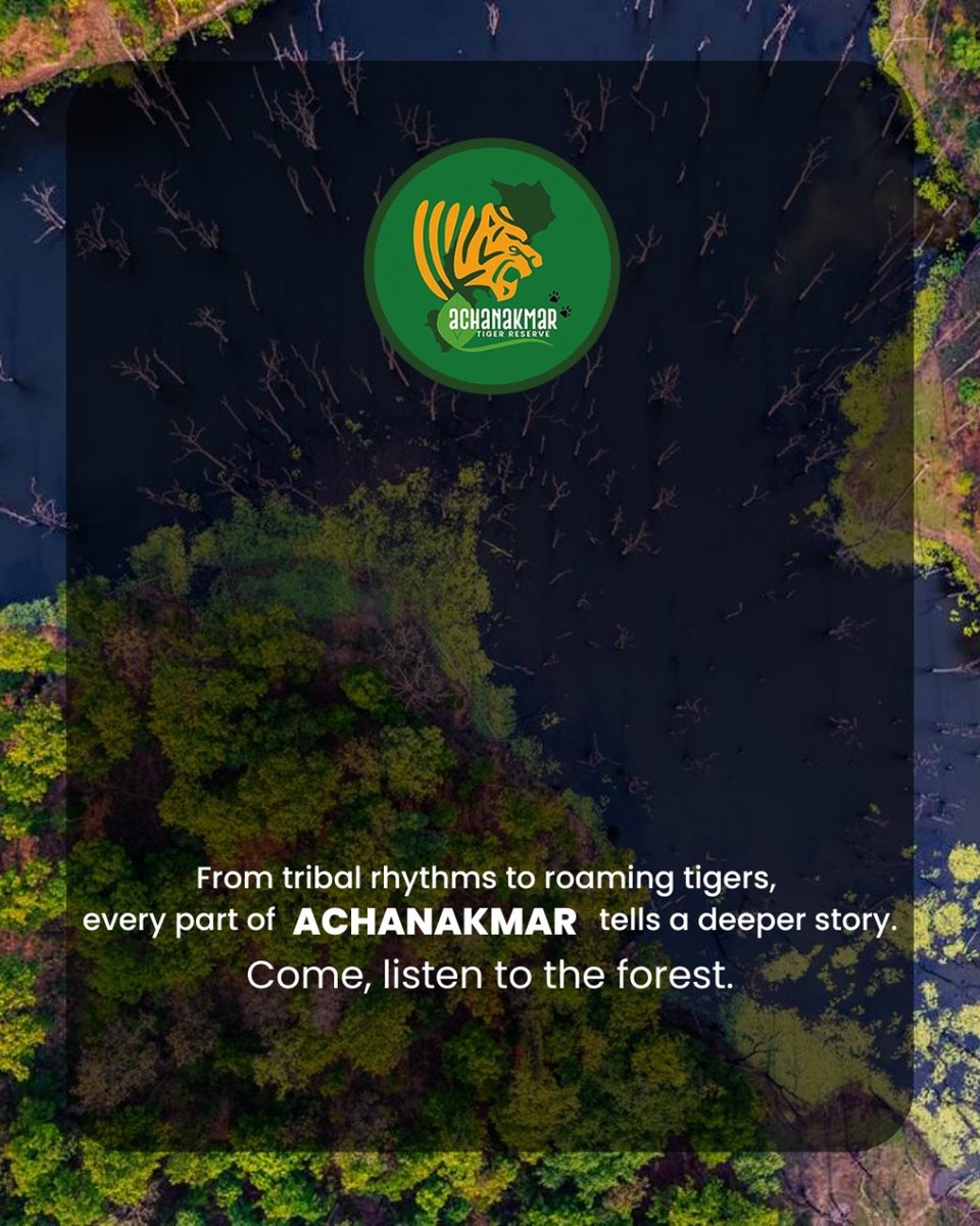 AchanakmarTiger's tweet photo. From tribal rhythms to roaming tigers, every part of Achanakmar tells a deeper story.
🌿 Come, listen to the forest.
#AchanakmarTigerReserve #IntoTheWild #ChhattisgarhForests #JungleDiaries #TribalAndTiger #UntoldWild #ExploreAchanakmar #WildlifeWhispers #TalesOfTheJungle https://t.co/viXh5a5VXU