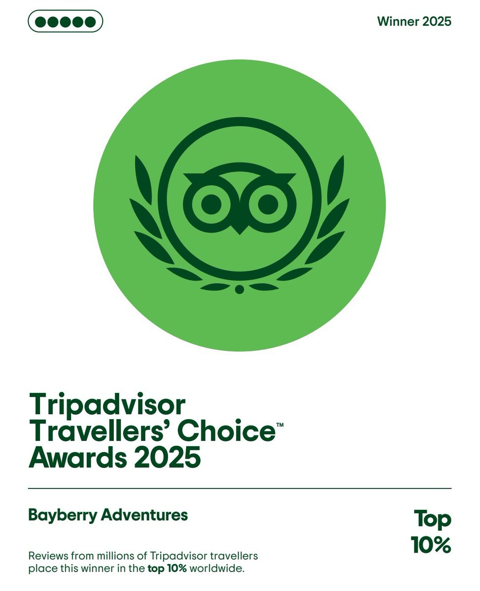 RDXThinksThat's tweet image. Responsible Tourism in Bharat
@Bayberry_tweets
Curated and Led by Team @isteeash, a Military Veteran who insists on Minimalist Lifestyle and Bonding with Nature, while conserving the Environment
Take a Sojourn to Feel the Difference with a Signature Warmth of Hospitality
Visit…