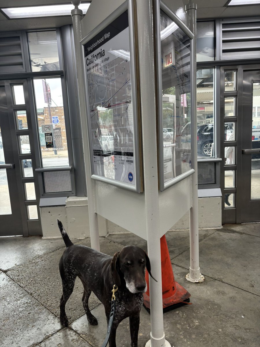 CPD_Transit (@cpdtransit) on Twitter photo Canine Officers patrolling the California Pink Line station. <a href="/CPD_BCT/">CPDCounterterrorism</a> <a href="/Chicago_Police/">Chicago Police</a> Canine Officers patrolling the California Pink Line station. <a href="/CPD_BCT/">CPDCounterterrorism</a> <a href="/Chicago_Police/">Chicago Police</a>