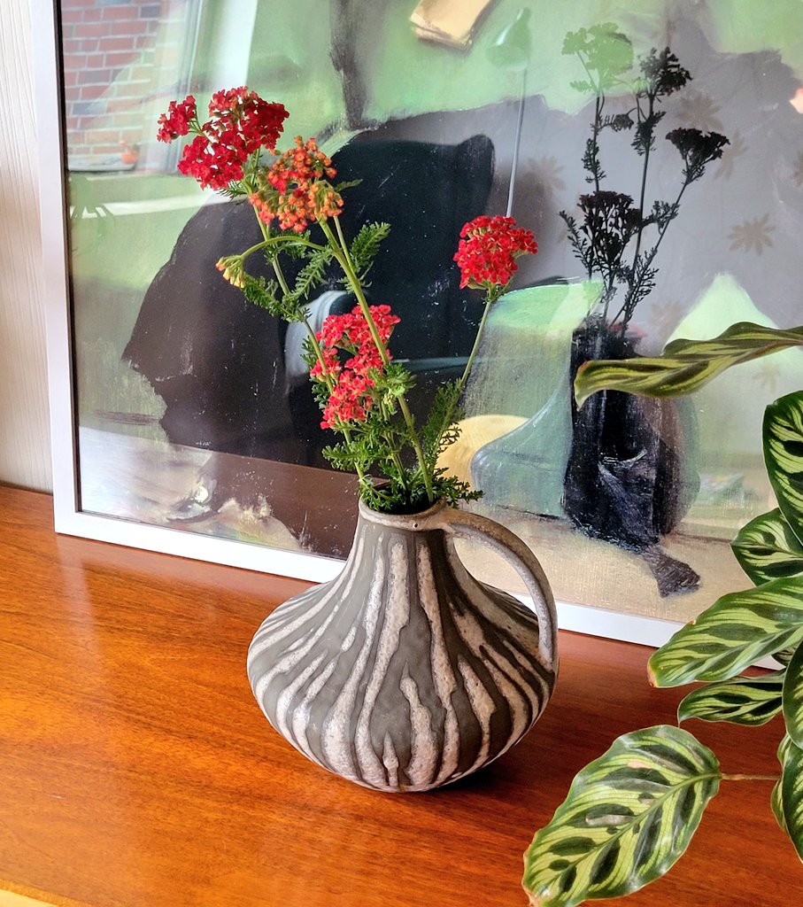 Naomi_fromhh's tweet image. Sometimes you can have nice things for free. Like the vase your neighbor didn't want anymore.