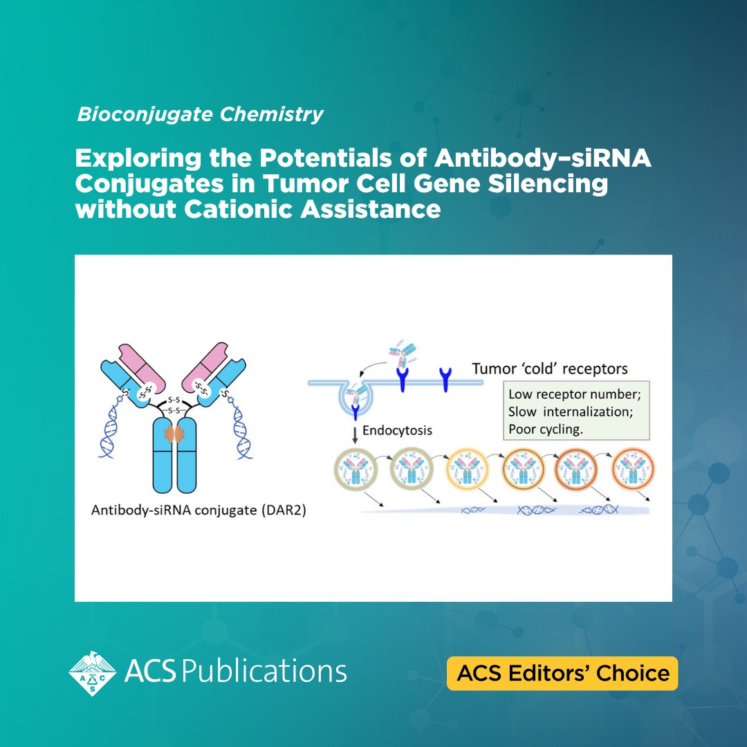 ACSPublications's tweet image. 'Exploring the Potentials of Antibody–siRNA Conjugates in Tumor Cell Gene Silencing without Cationic Assistance' from Bioconjugate Chemistry is currently free to read as an #ACSEditorsChoice.
📖 Read the article: go.acs.org/cVS
@WHU_1893