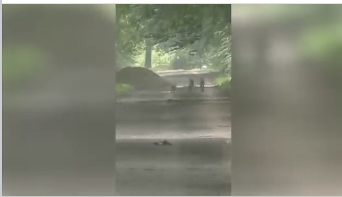 Vreselijk een dier dat voor zijn welpen zorgt ter dood veroordelen. Hoe harteloos moet je dan zijn? 
<a href="/glennlelieveld/">Glenn Lelieveld</a> <a href="/MirjamSterk/">Mirjam Sterk</a>  en Erwin van Maanen de “deskundige” 
Met zulke vrienden heeft de wolf geen vijanden meer nodig. 
Beelden Groep Wolf.