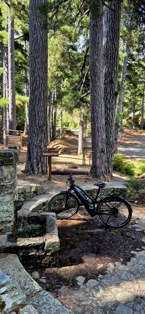 🚴‍♂️ Sta mane in a Furesta di Padula #chasseurdebeauté