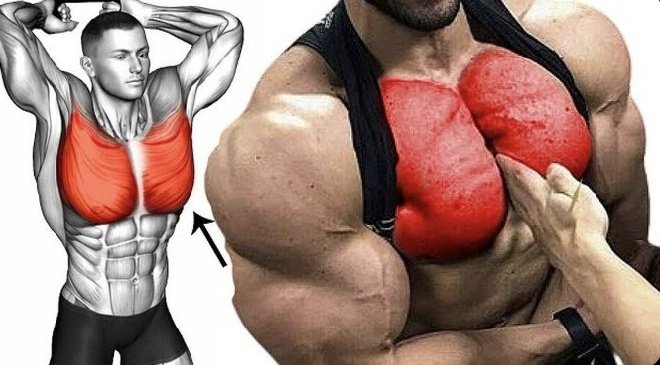 Fit_physiques's tweet image. 5 EXERCISES TO HAVE A HUGE CHEST IN JUST 60 DAYS 馃挭
-Thread-