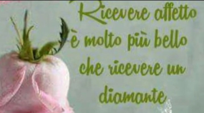 Annamaria (@annamarylight) on Twitter photo <a href="/Orsosognante/">Tony Kospan</a> Graziee Tonyper gli auguri,le immagini, le parole e il video ! Mi fai commuovere! Il tuo omaggio è uno straordinario connubio tra arte e poesia. Grande <a href="/Orsosognante/">Tony Kospan</a> ! Sei nelle mie corde♥️🎶🎻🎸💯
Ascolterò i tuoi preziosi consigli 🌹
#santanna
#26luglio <a href="/Orsosognante/">Tony Kospan</a> Graziee Tonyper gli auguri,le immagini, le parole e il video ! Mi fai commuovere! Il tuo omaggio è uno straordinario connubio tra arte e poesia. Grande <a href="/Orsosognante/">Tony Kospan</a> ! Sei nelle mie corde♥️🎶🎻🎸💯
Ascolterò i tuoi preziosi consigli 🌹
#santanna
#26luglio