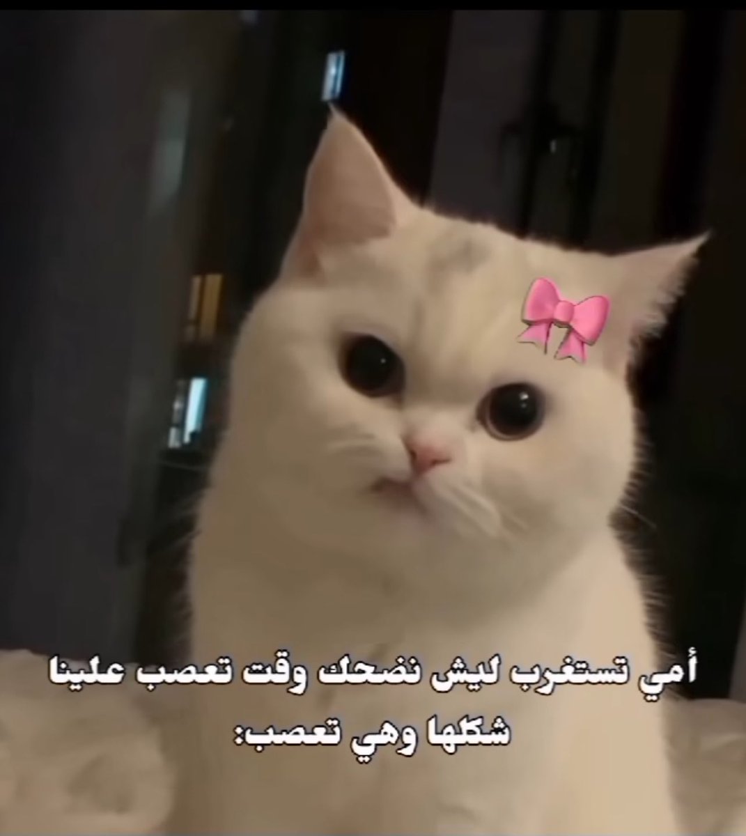 A8nsr's tweet image. 