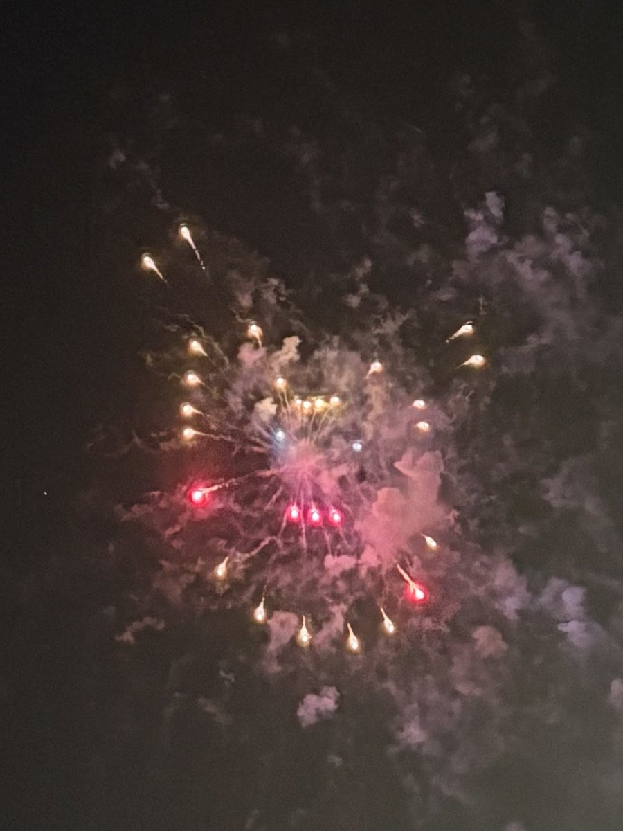 OrangeSnow11's tweet image. 今年もピカチュウ撮れた⚡️