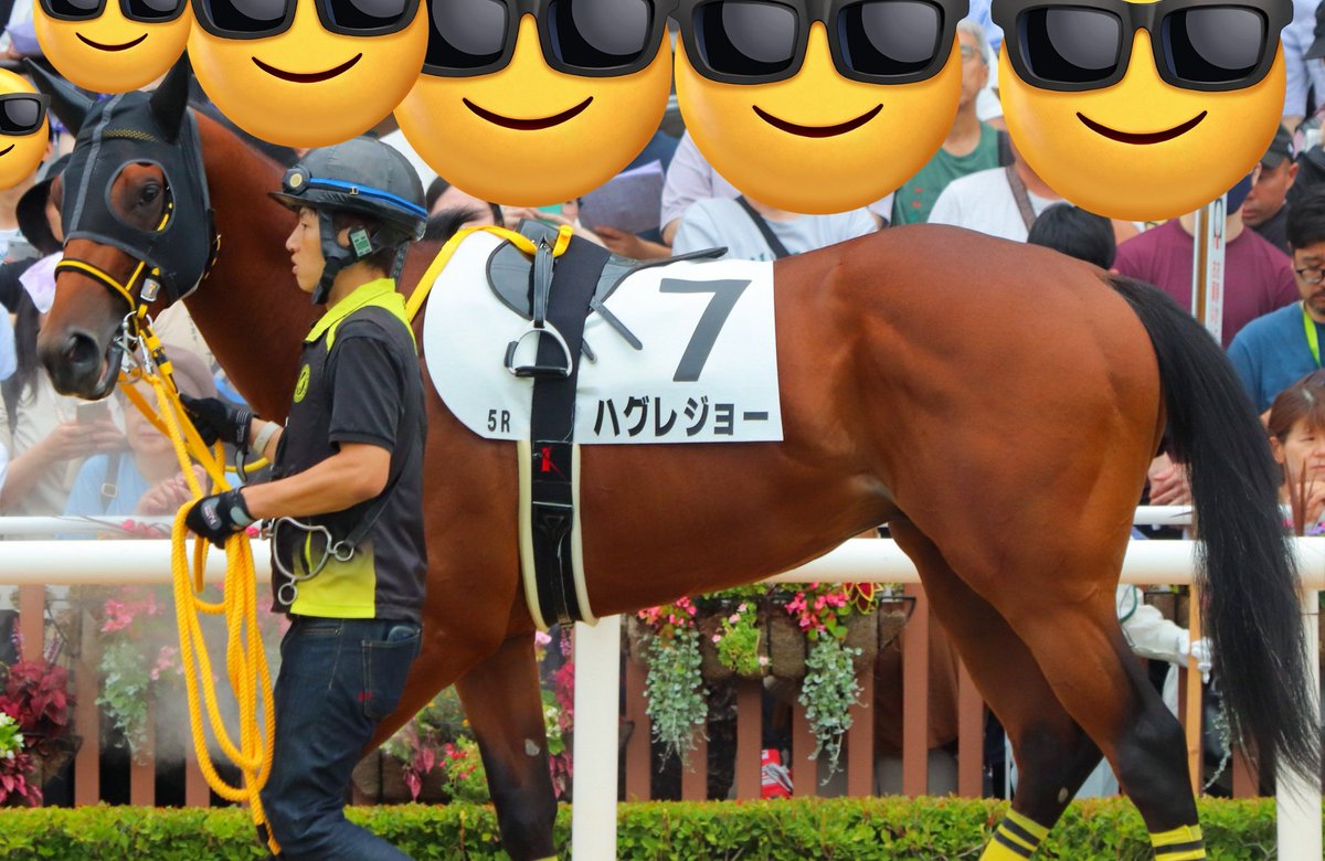 Hanro51s's tweet image. ハグレジョーくん　頑張りました