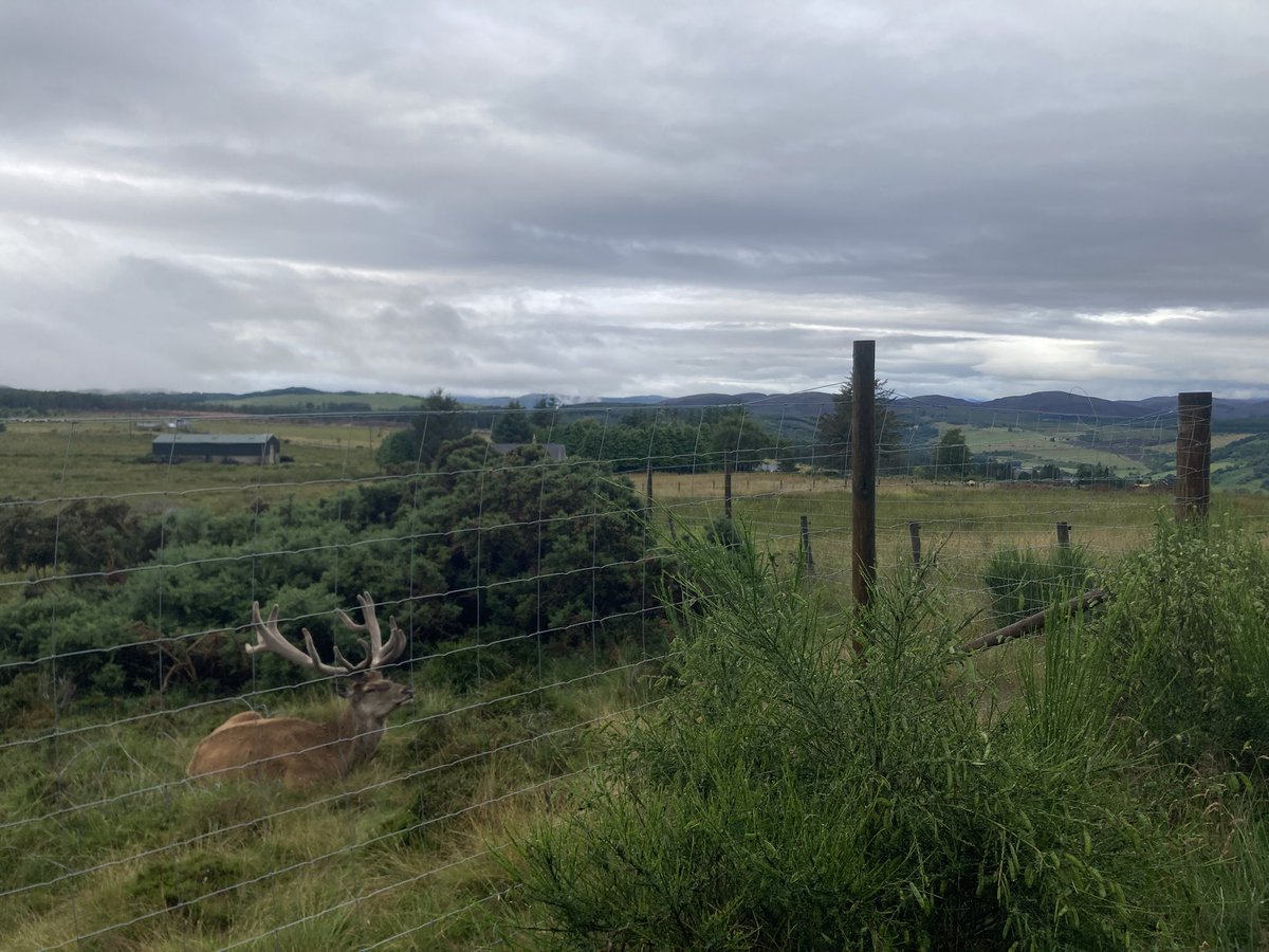 WhatKatieDigs's tweet image. A memorable, creative and restorative week at Moniack Mhor for a writing retreat. Met some wonderful people, was fed like a Queen and broke out of the academic writing bubble just a little bit. @moniackmhor - like a spa for the brain!