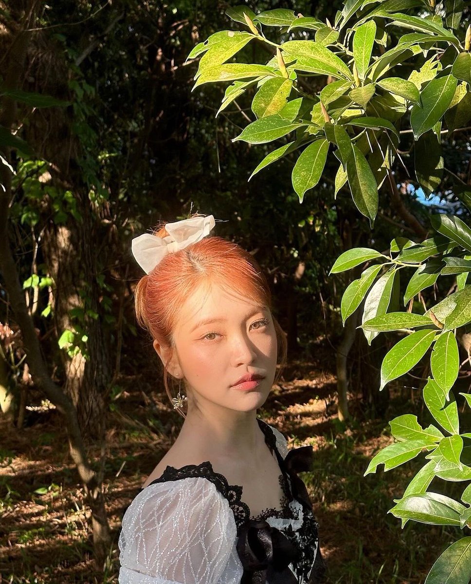 yerispic's tweet image. your heart resembles a day sun. all of it is a story that this season holds… 

#YERI #예리 #KIMYERIM #김예림 #REDVELVET #레드벨벳