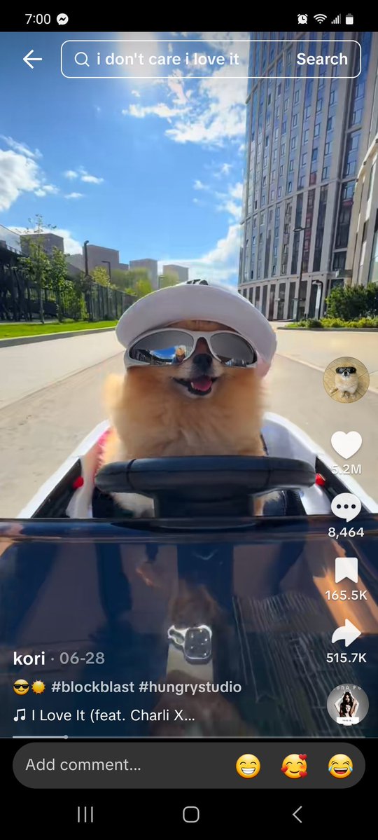 LeoBraScor's tweet image. What does $KORI stand for?
K-Kingly. a King ( actually a Queen) with royal followers around the world.
O- Original and Only One.
R- Realistic and Revolution. The first animal can advertise for businesses and celebrities.
I- Idea and Iconic. Opportunities to grow.
$KORI