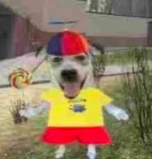 HteStephanie's tweet image. How I felt telling my 40 year old coworker how excited I am to receive my HAS labubus and she asked “what’s a labubu”